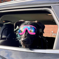 Dog Sunglasses for Large and Medium Breed, Dog Goggles for Large Dogs, Sun Protection, Windproof, Waterproof, Dustproof and Anti-Fog with Adjustable Strap for Driving, Motorcycle (Pink)