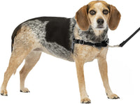 PetSafe Easy Walk Harness, No Pull Dog Harness, Royal Blue - Charcoal/Black / Small/Medium / 1 - image 2