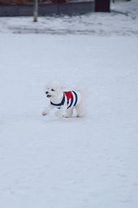 Sailor of My Heart Striped Turtleneck Sweater