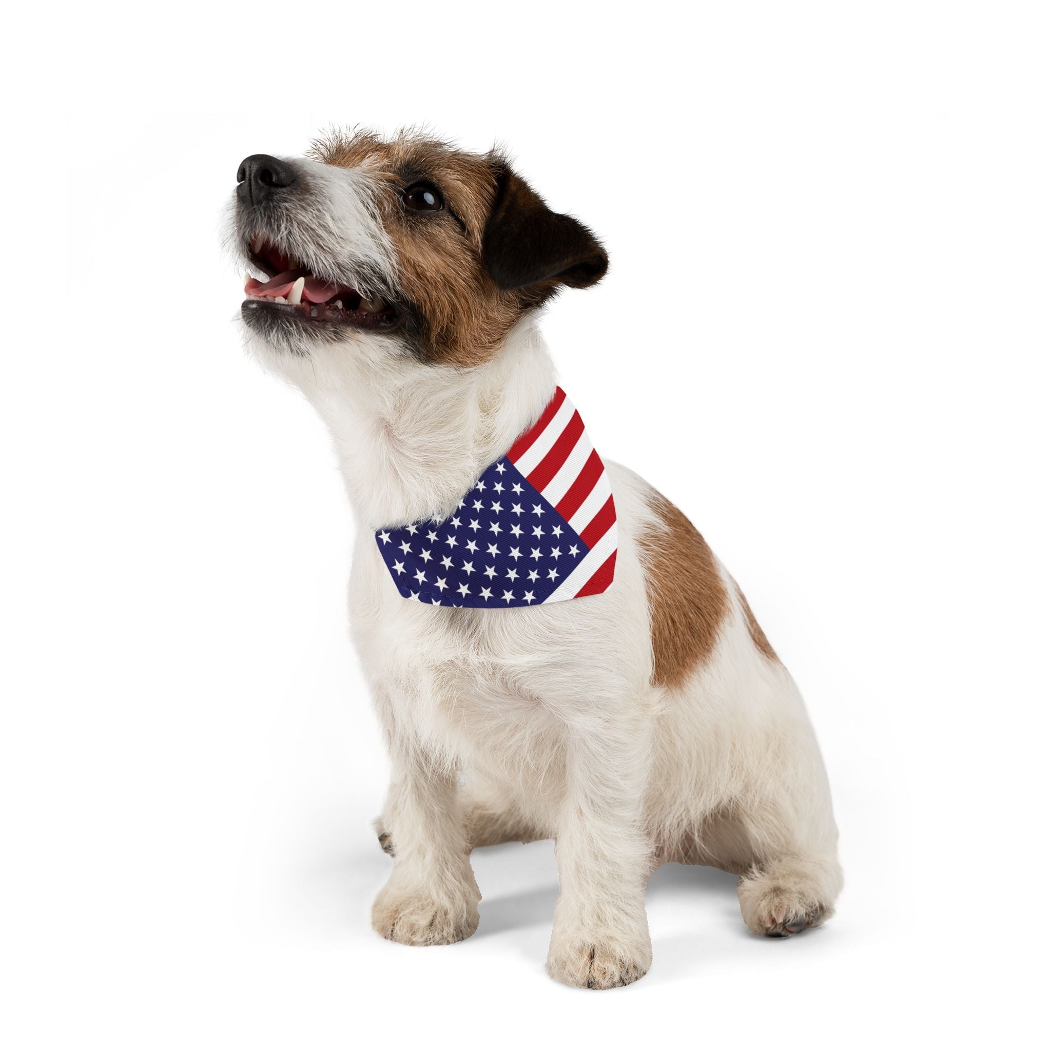 Patriotic American Flag Pet Bandana – Celebrate Veterans Day in Style - BIG FRENCHIES