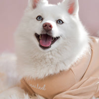 “Spoiled” Mock Neck Shirt - Miss U a Latte