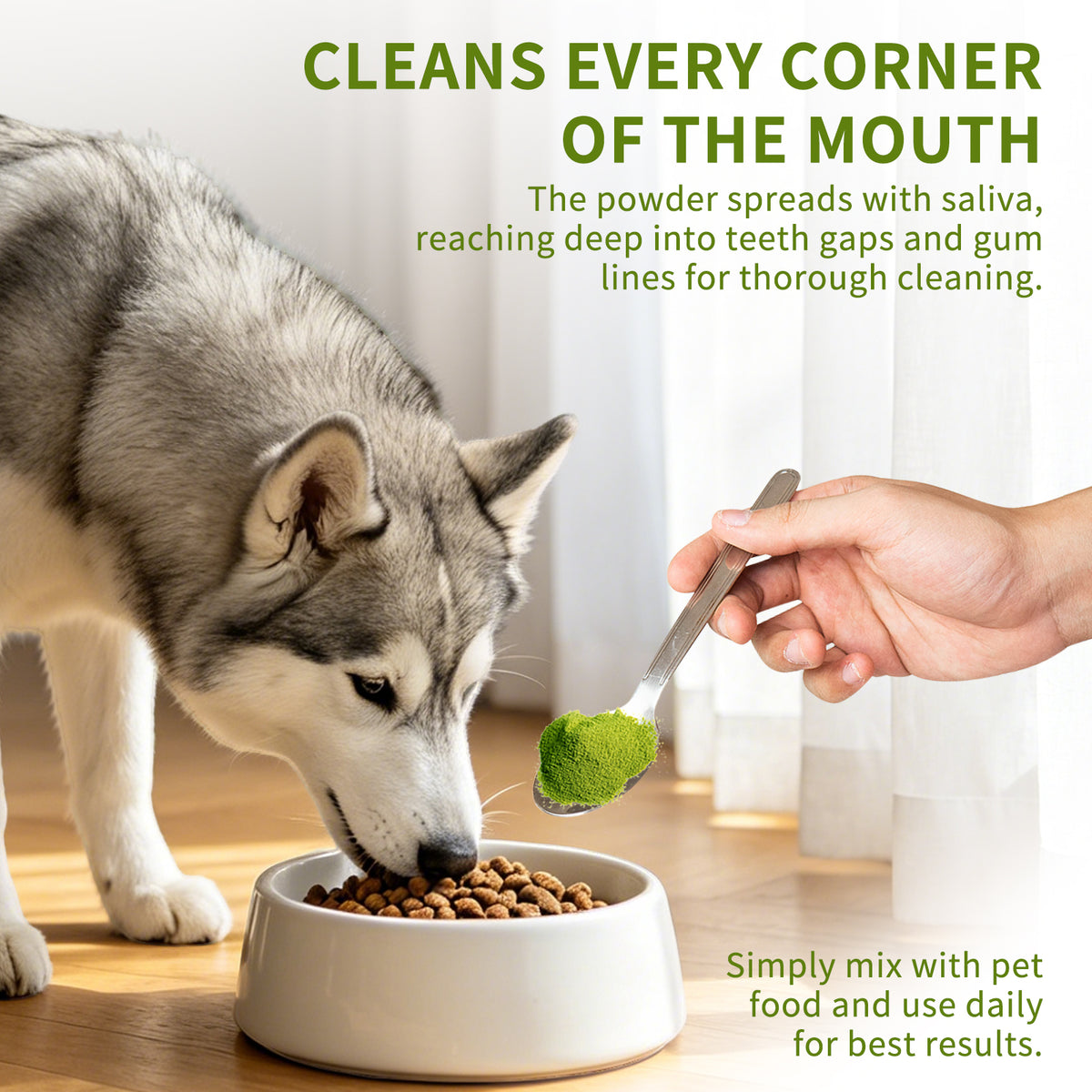 Only Self Pickup---Cat And Dog Toothpaste