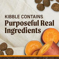 Wholesome and Natural Kibble with Real Chicken and Sweet Potato - BIG FRENCHIES