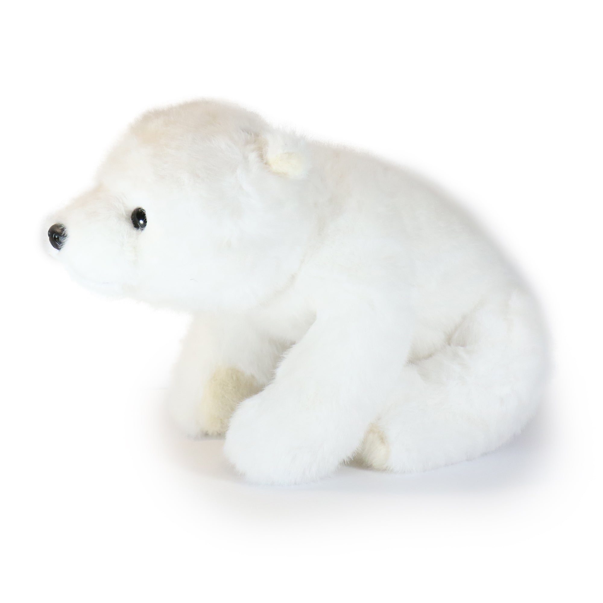 13-inch White Frosty Bear