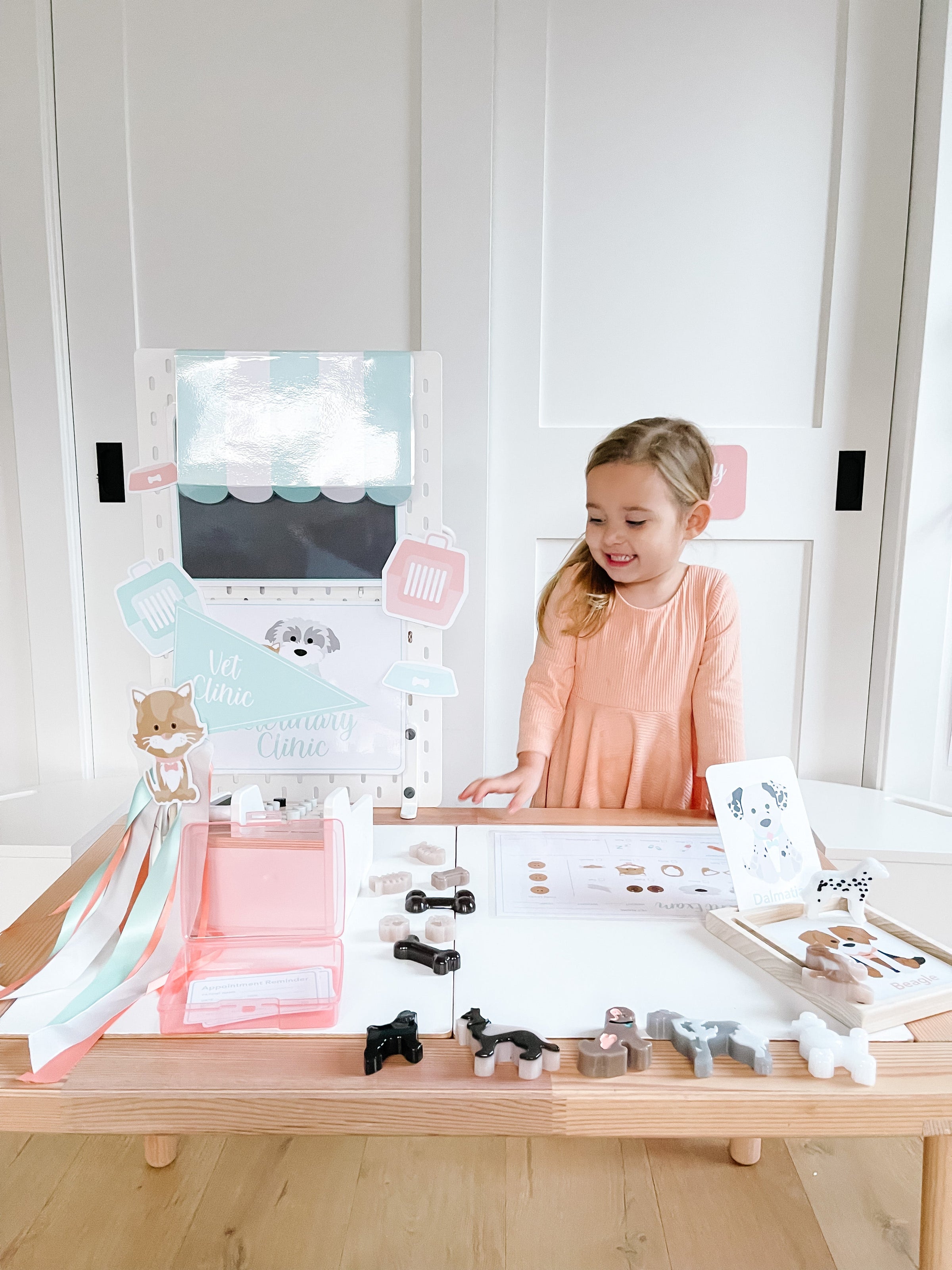 Vet Clinic Dramatic Play