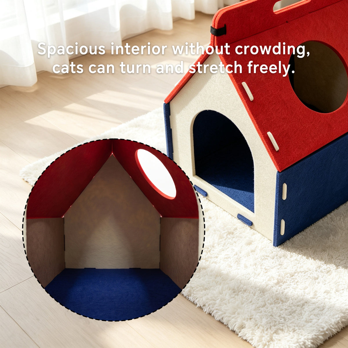 Cat Carrying A House