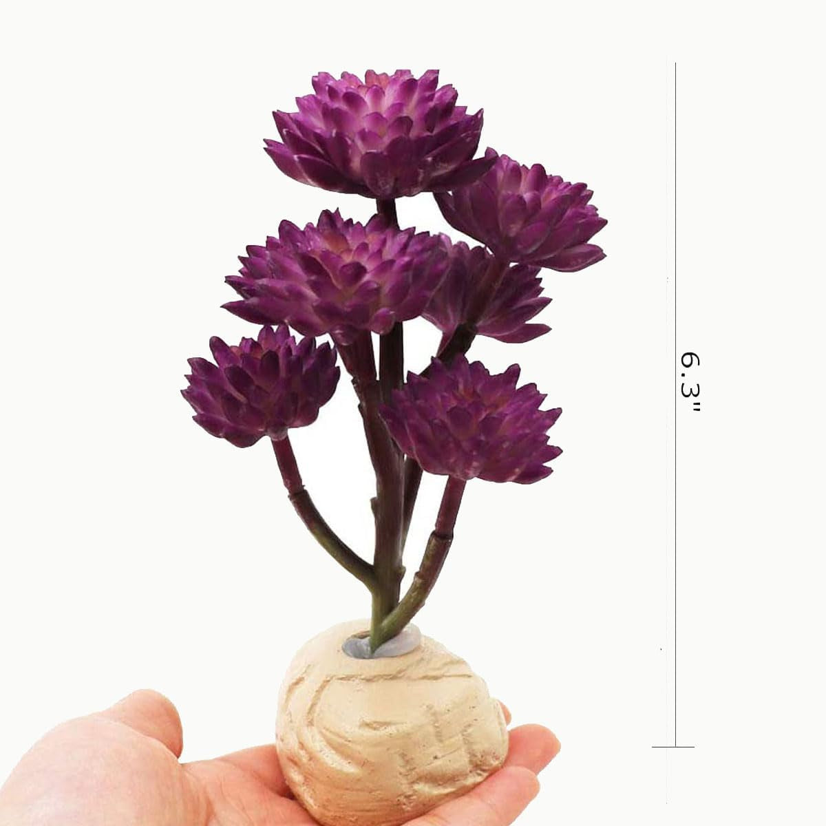 Reptile Plants Artificial - BIG FRENCHIES