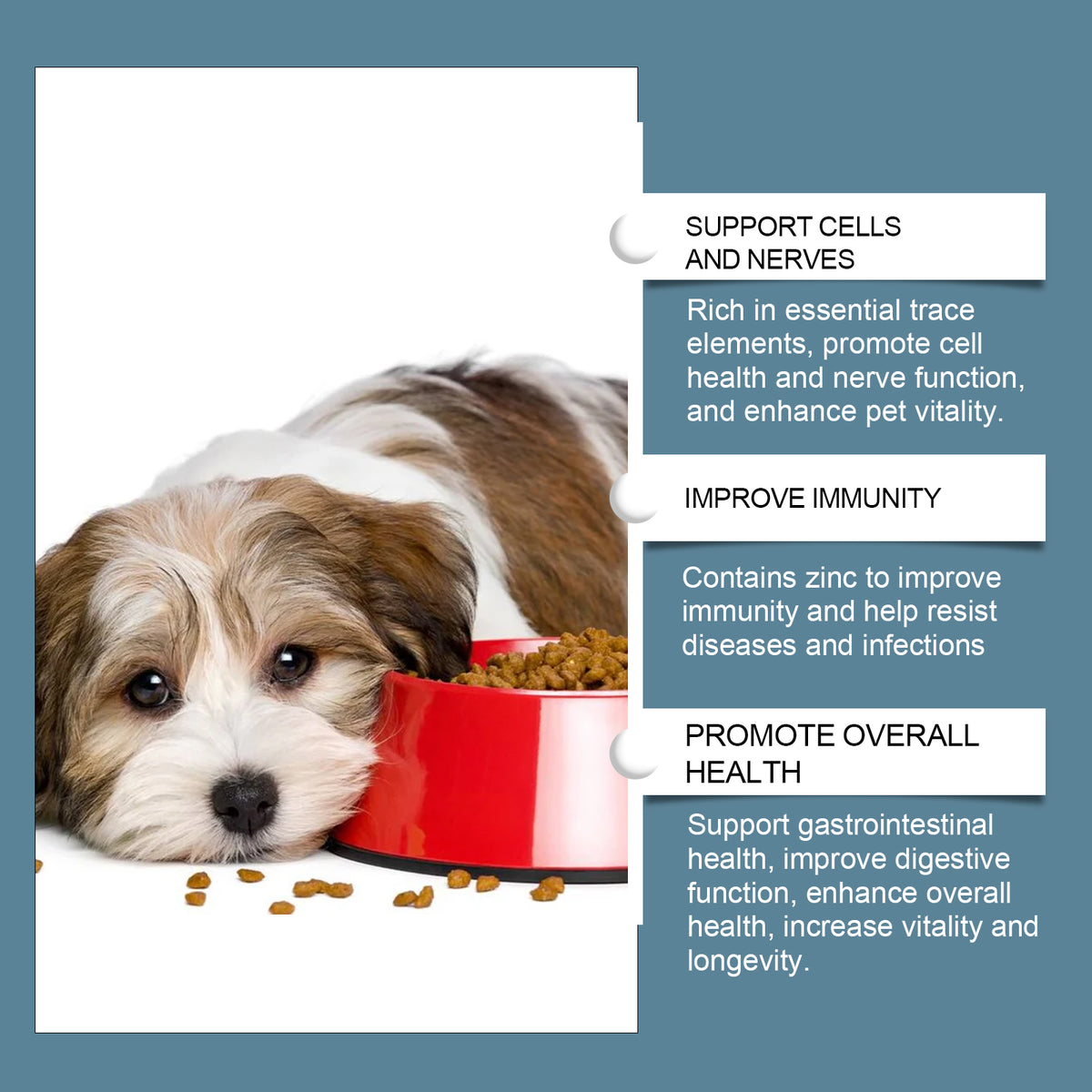 Dog Mineral Supplement Tablets, 80 Chewable Minerals Tablets For Pica, Appetite & Bone Health Support, Non-GMO Human Gra