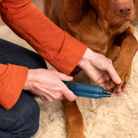 1Pc Dog Nail Grinder 2 Speeds Quiet USB Rechargeable Pet Nail Grinder Professional Pet Nail Trimmer Cordless Paws Groomi