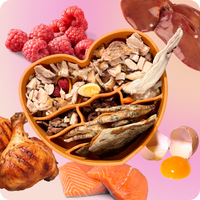 Coraźon ‘Barro’ Silicone Slow bowl Feeder