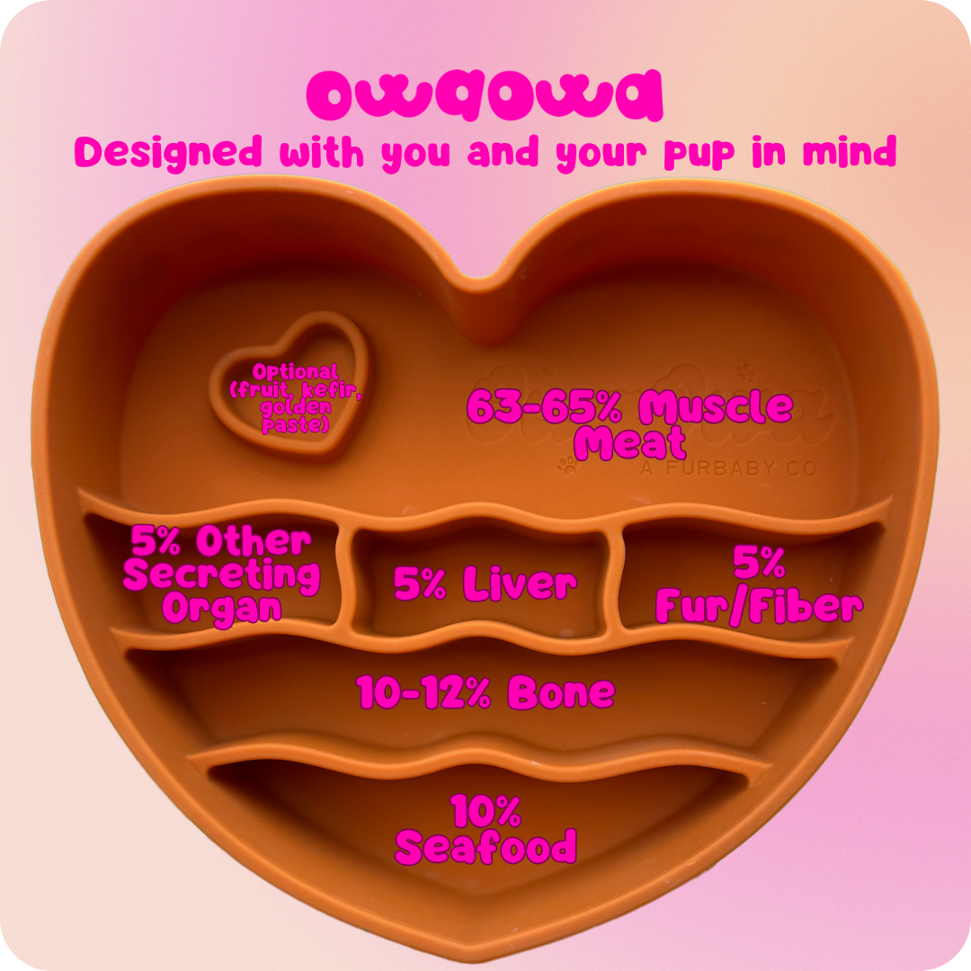 Coraźon ‘Barro’ Silicone Slow bowl Feeder