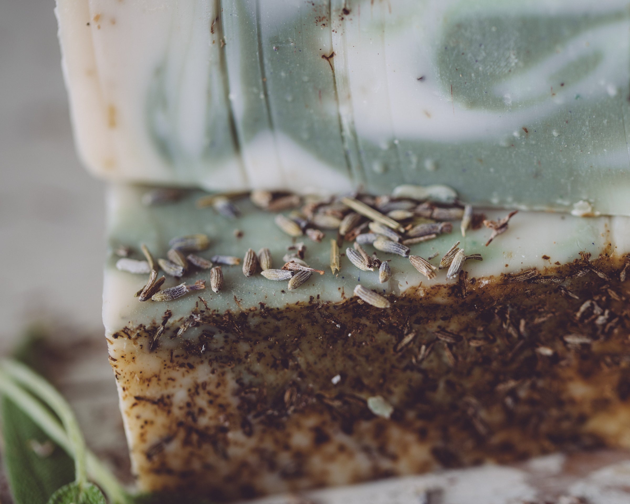 Lavender Sage Handmade Organic Soap | The best of both herbs!