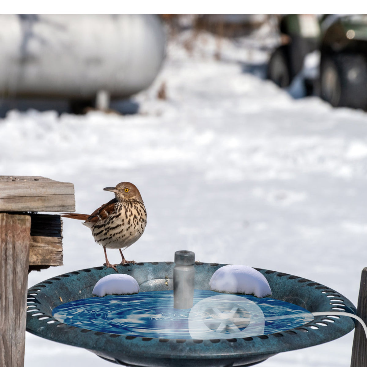 70W Bird Bath Heater For Outdoors Winter Heated Bird Bath Deicer Waterproof Aluminum Alloy Water Heater With Thermostat 