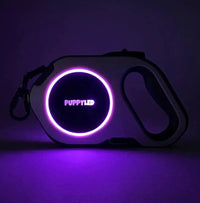 LED Retractable Dog Leash  W/Flashlight