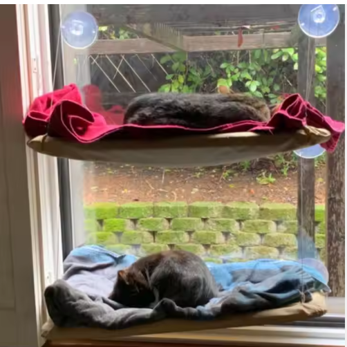 US LOCAL STOCK Hiphoppet Best Selling Washable Window-Mounted Sucker Cat Hammock Cat Nest Seat Elaxing Spot To Lounge Fo