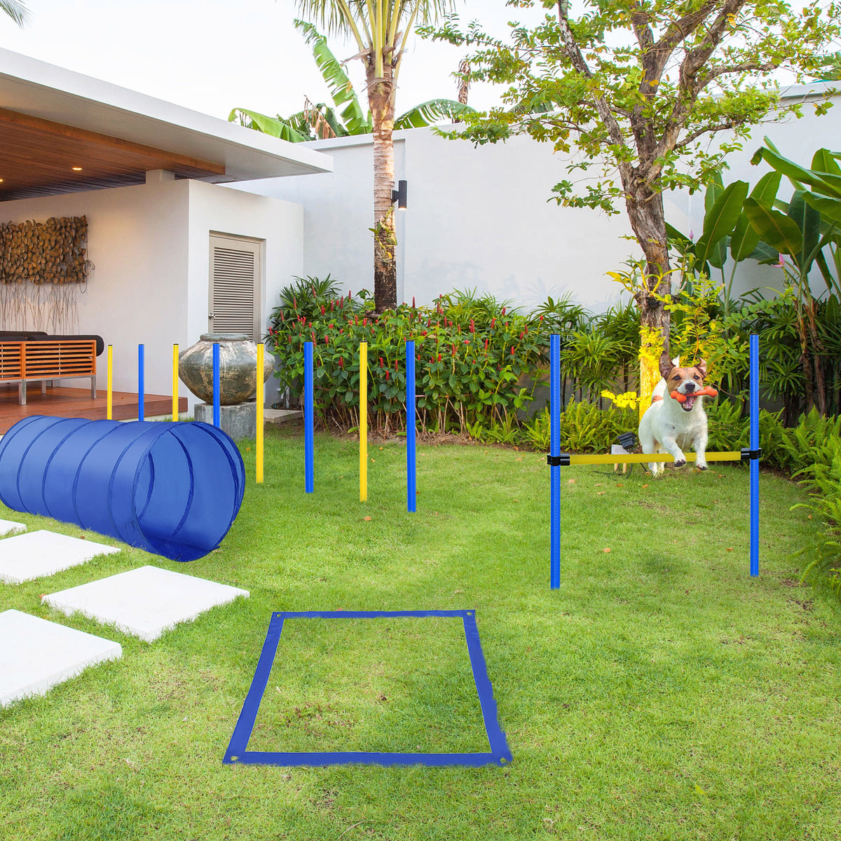 Backyard Competitive Dog Agility Training Kit Obstacle Course Equipment