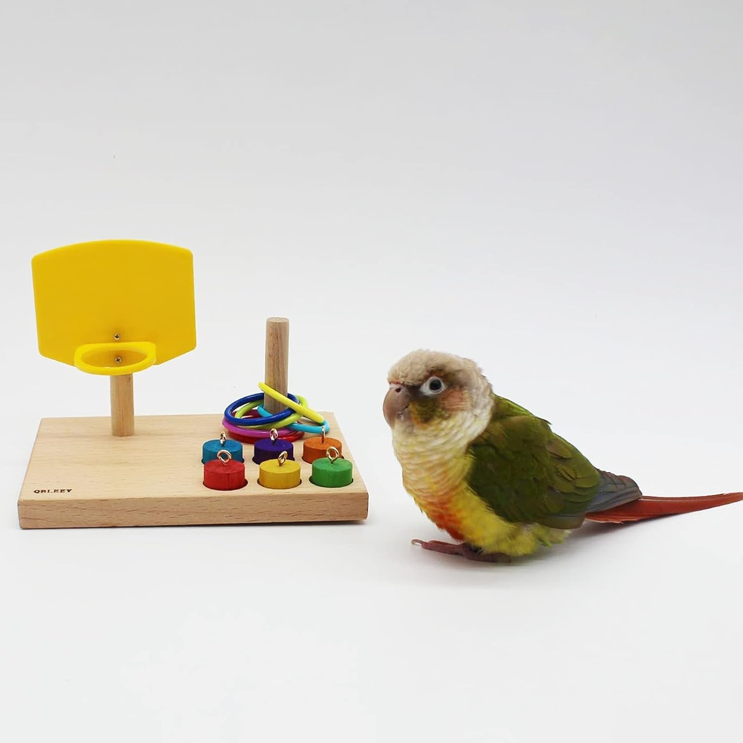 Engaging Bird Toys for Budgies and Parrots - BIG FRENCHIES