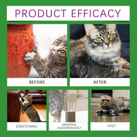 Cat Calming Pheromone Diffuser Kit 45ml, Stress Relief For Anxious Cats & Kittens