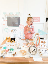 Vet Clinic Dramatic Play