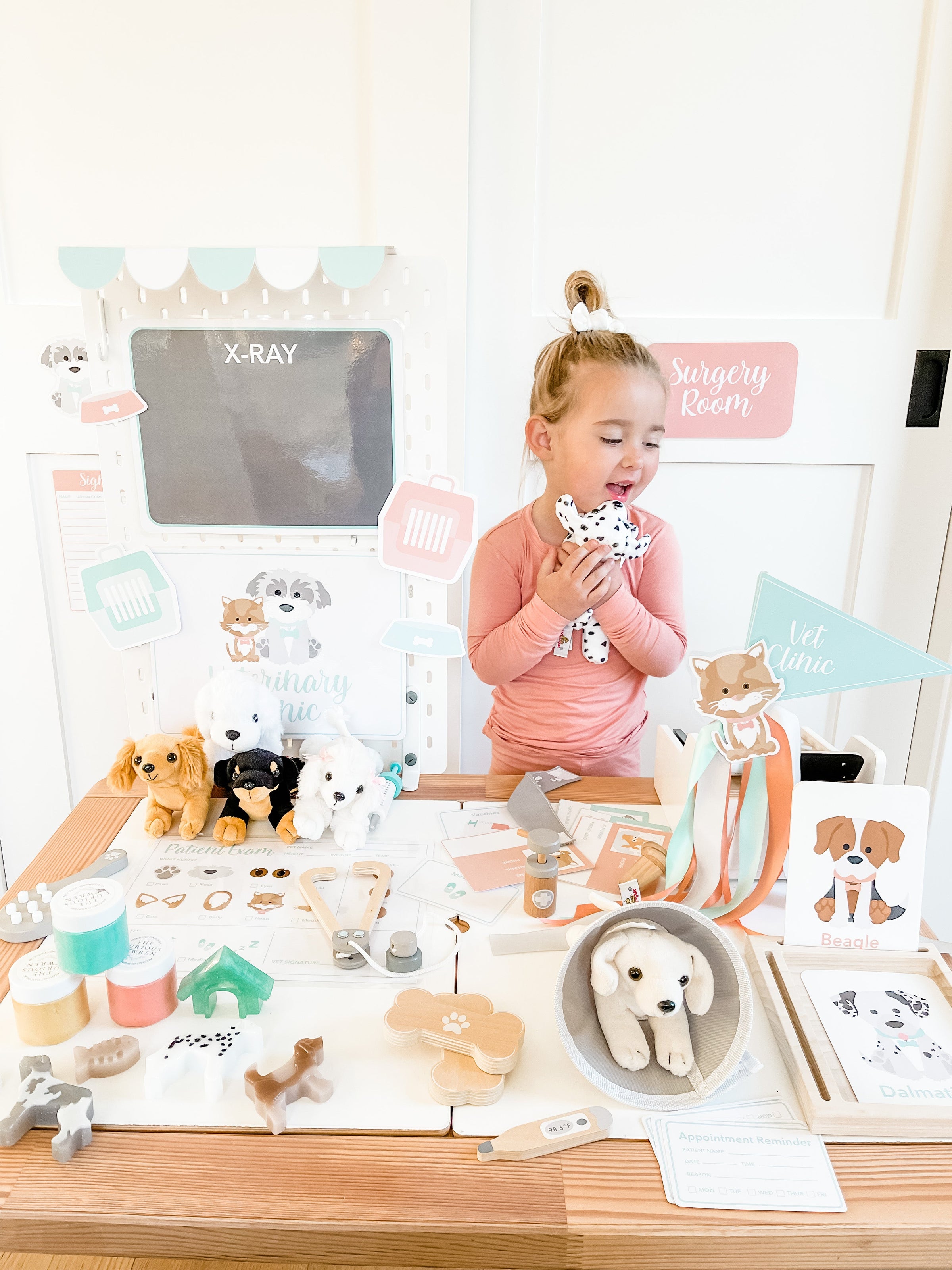 Vet Clinic Dramatic Play