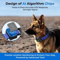 GPS Wireless Dog Fence System — App-Controlled, No Subscription, Waterproof