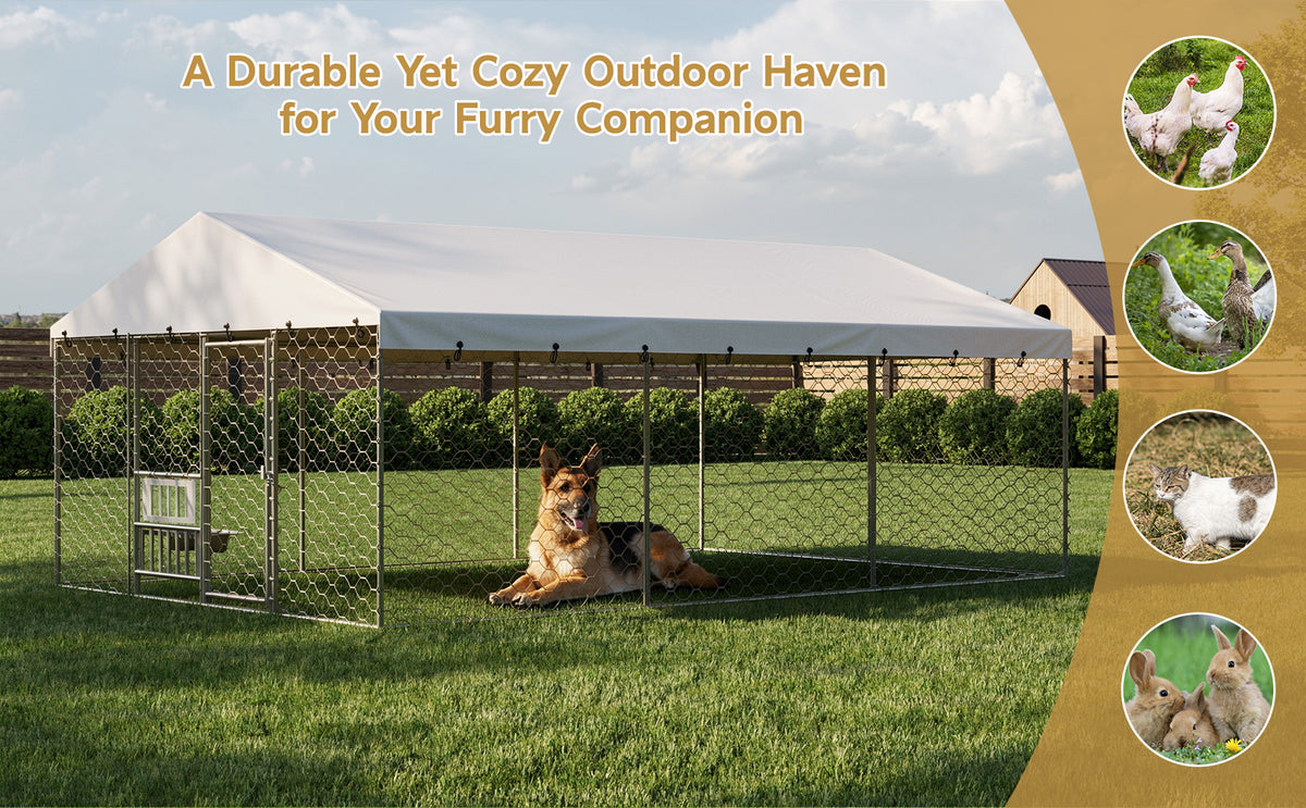 15x10 FT Large Outdoor Dog Kennel with Canopy, Heavy Duty Galvanized Steel Frame, Waterproof Cover, Built-in Elevated Fe