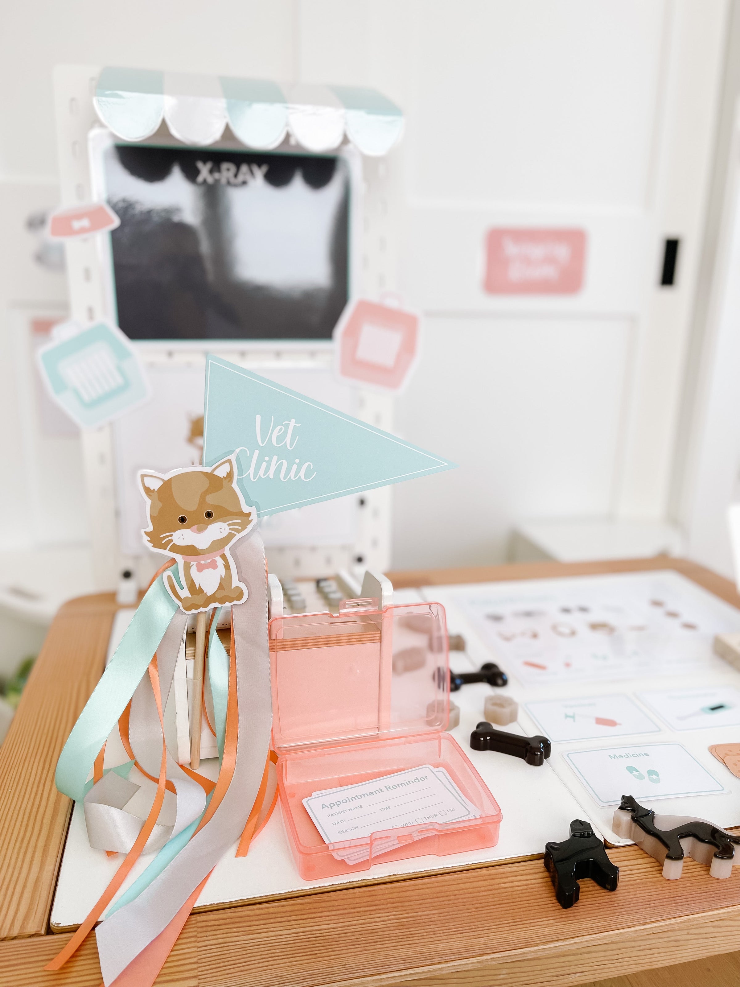 Vet Clinic Dramatic Play