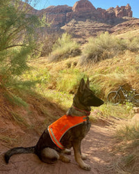 Lightweight Dog Vest L Size Mid-Back Coverage 36.75 in Chest x 26 in Neck Orange