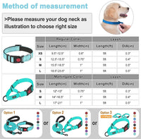 2 Packs Dog Training Collars for Small Medium Large Dogs - BIG FRENCHIES