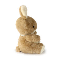 Just for You Bunny: A Sweet Plush Gift Meant to Be Shared