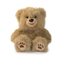 Honeywood Bear