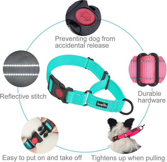 2 Packs Dog Training Collars for Small Medium Large Dogs - BIG FRENCHIES