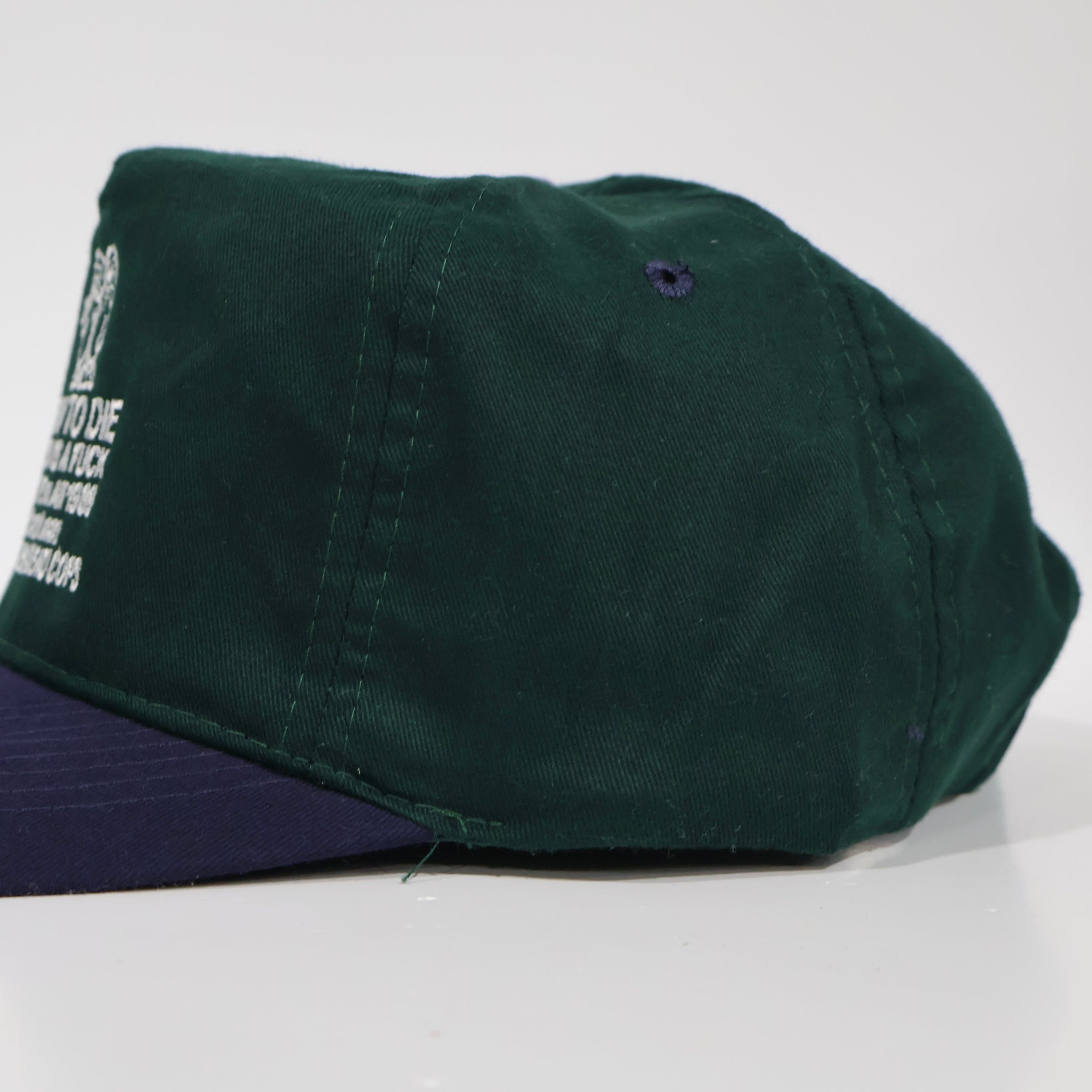 Born to D World is a F Custom embroidered Strapback cap hat Vintage blank