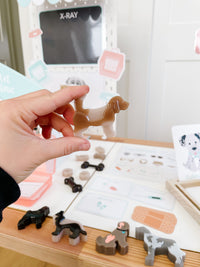 Vet Clinic Dramatic Play