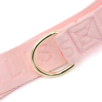 Dog Walking Bag - Rose