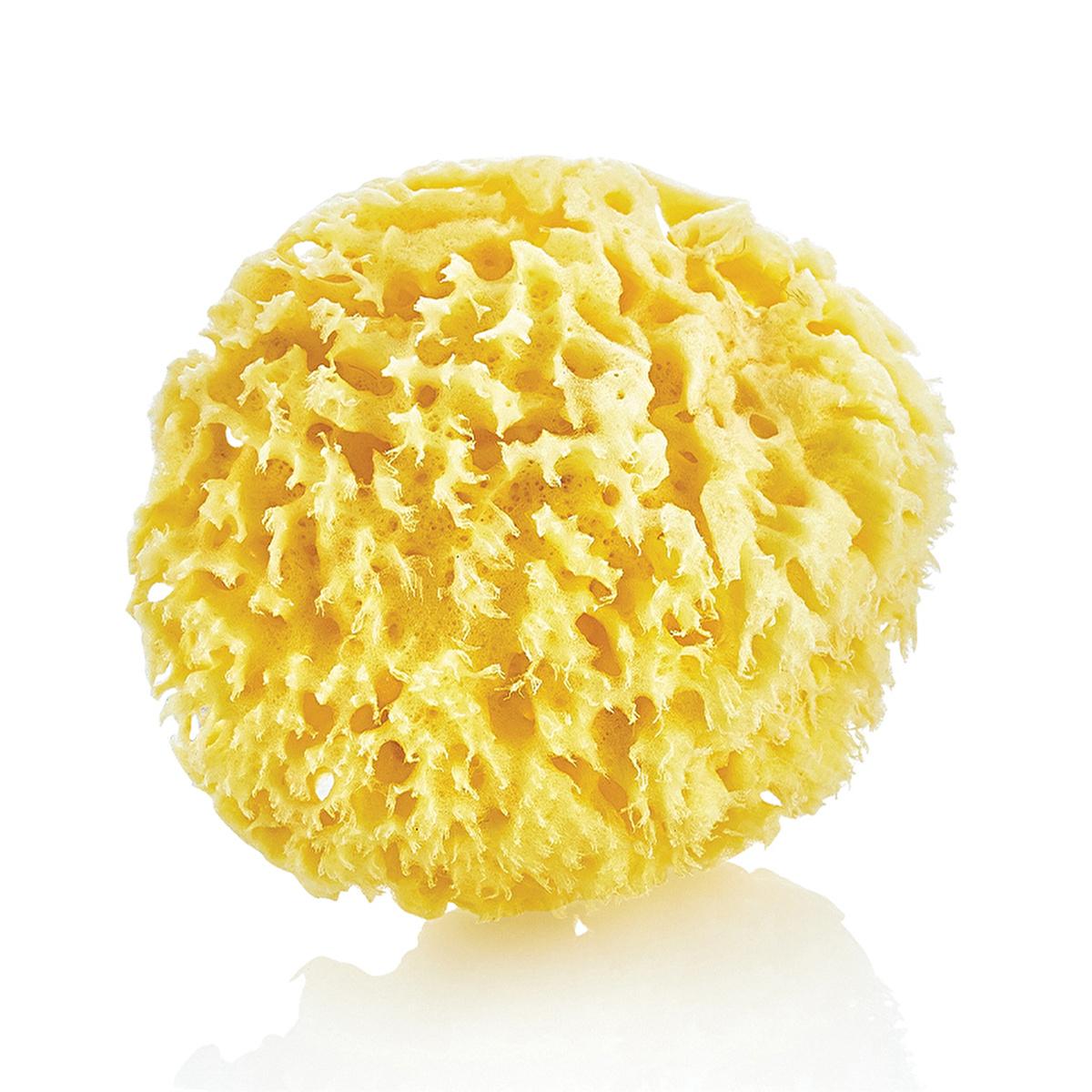 Babyjem Natural Sea Sponge for Gentle Baby Skin Care - Hypoallergenic & Organic Bathing Solution