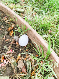 Easter Printable Activity Dramatic Play Kit