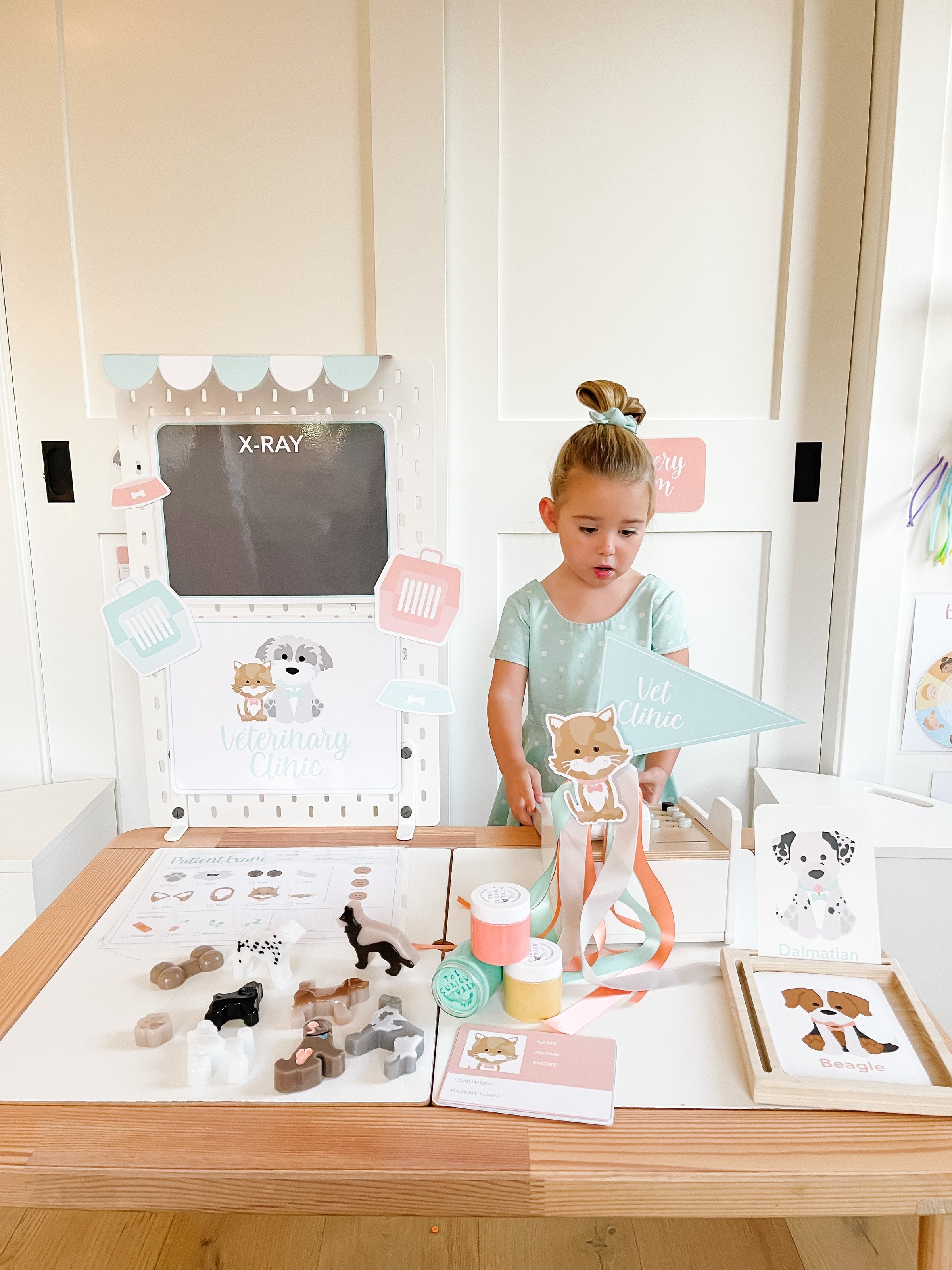 Vet Clinic Dramatic Play