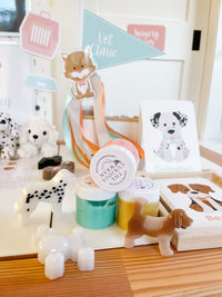 Vet Clinic Dramatic Play