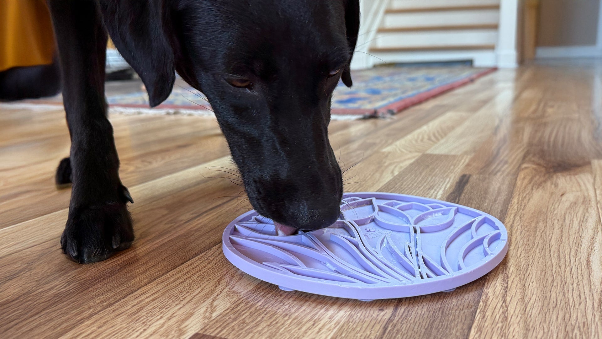 Tulip Design eMat - Enrichment Lick Mat For Dogs and Cats - With Suction Cups | USA Made - BIG FRENCHIES