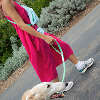 Hands-Free Dog Walking Bag - BIG FRENCHIES
