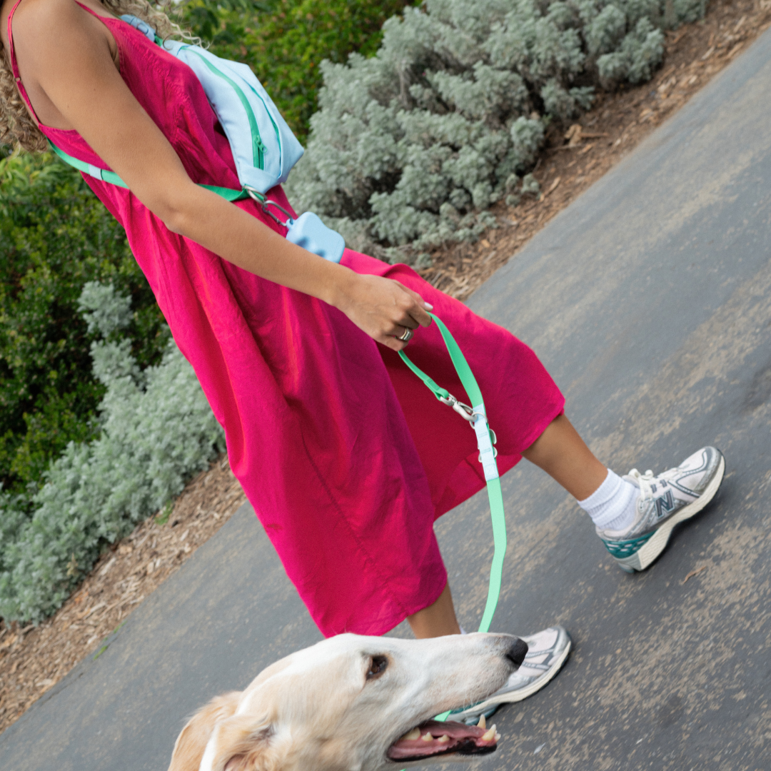 Hands-Free Dog Walking Bag - BIG FRENCHIES