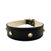 Plain Leather Dog Collar - BIG FRENCHIES