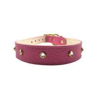 Plain Leather Dog Collar - BIG FRENCHIES