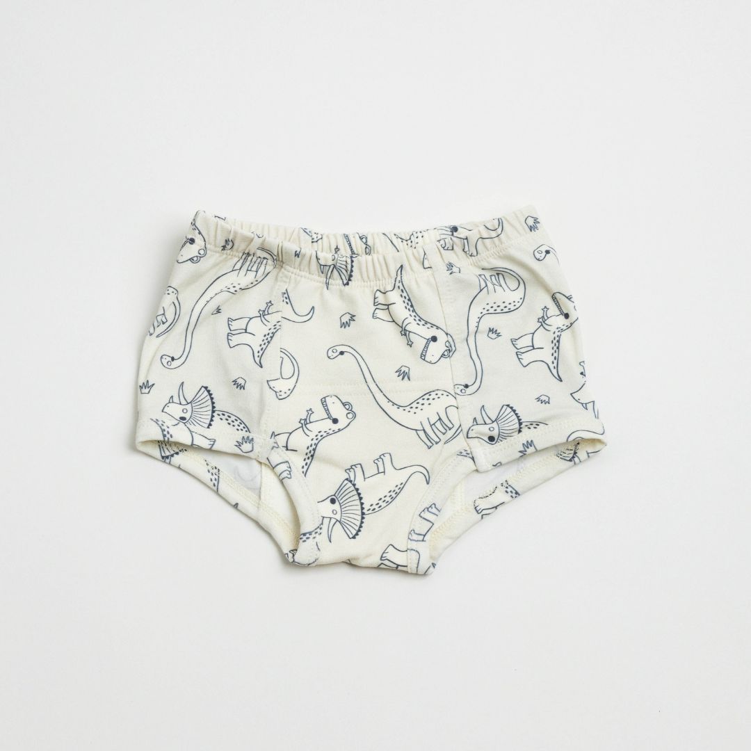 Adventure-Ready Organic Potty Training Underwear (4 Pack) - BIG FRENCHIES