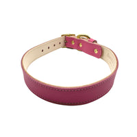 Plain Leather Dog Collar - BIG FRENCHIES