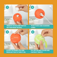 DOG’S INTERACTIVE BALL