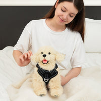 Golden Retriever Plush – Weighted Emotional Support Toy Gift