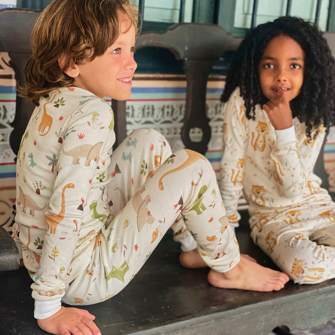 Dinosaur Organic Cotton Pajamas - BIG FRENCHIES