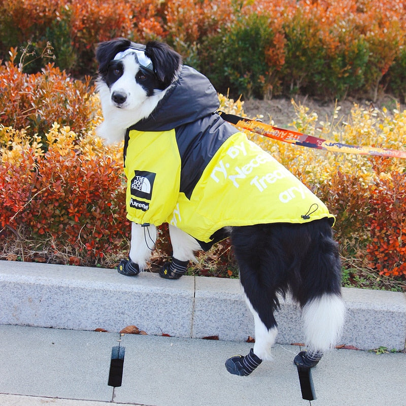 The Dog Face Windproof Waterproof Reflective Pet Cat Dog Jacket - BIG FRENCHIES
